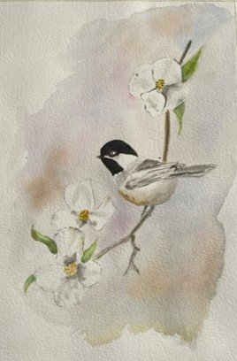 Stages,cours Atelier d aquarelle