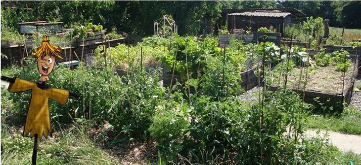 Stages,cours Le et différents supports culture (jardinage naturel)