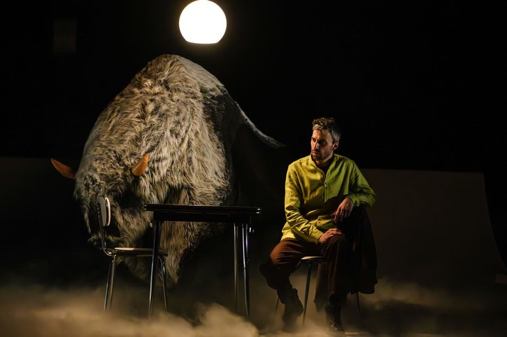 Spectacles Fils bâtard