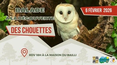 Loisirs Balade la découverte chouettes