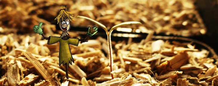 Stages,cours La découverte semis