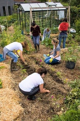 Stages,cours Découvrir permaculture pour adultes