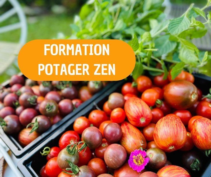 Stages,cours Potager Initiation