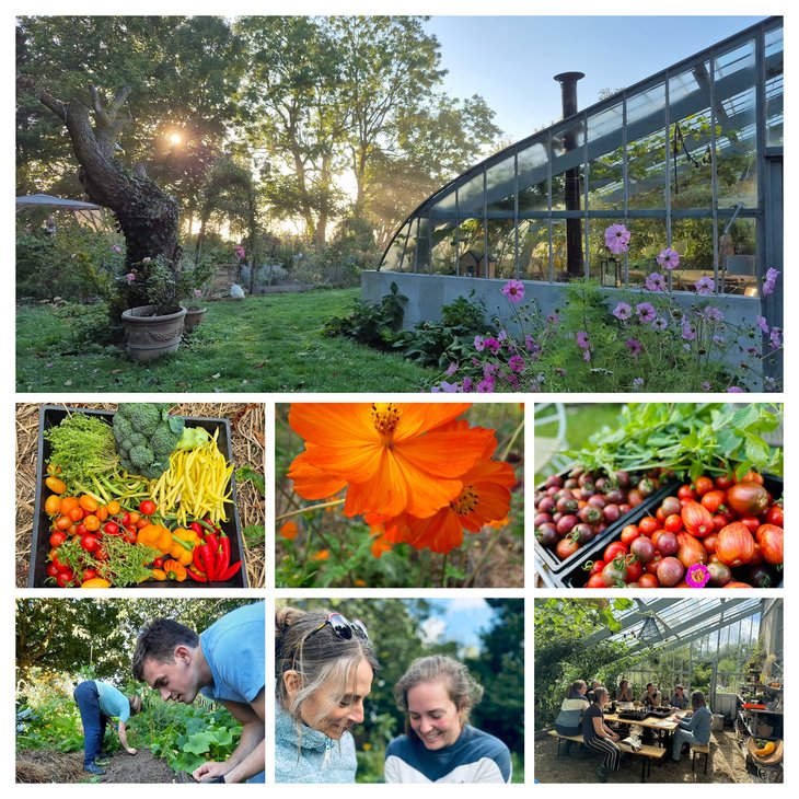 Stages,cours Potager Perfectionnement