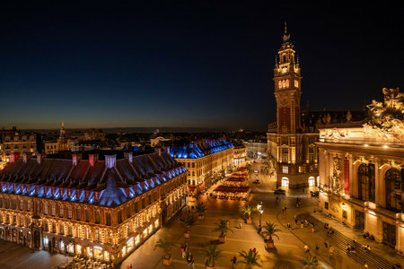 Loisirs Visite guidée : Lille amour