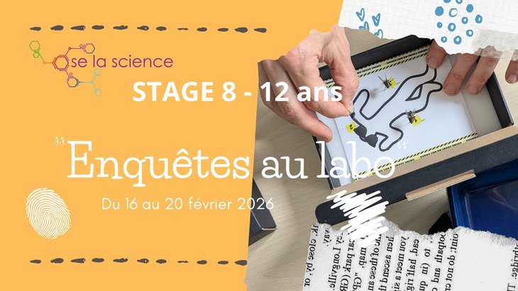 Stages,cours Stage  Enquêtes labo 