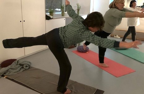 Stages,cours Yoga adultes niveau débutant & intermédiaire