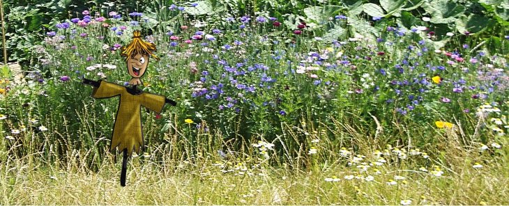 Stages,cours La découverte pré fleuri