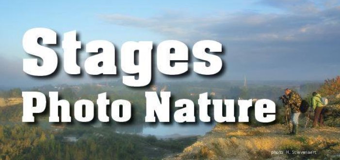 Stages,cours Stage photographie nature