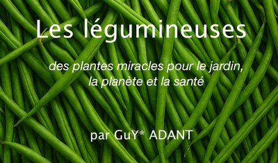 Conférences Les légumineuses, plantes miracles pour jardin santé la biodiversité.