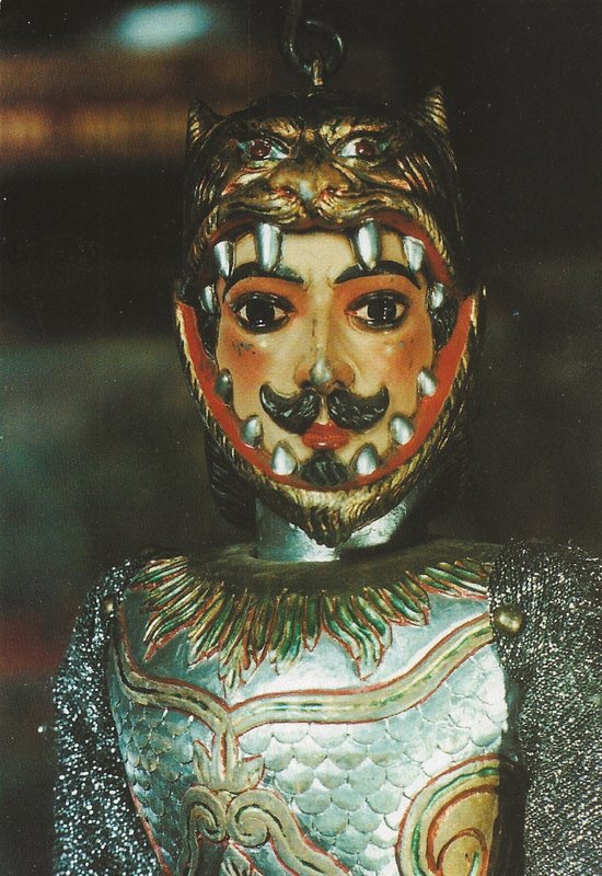 Spectacles « grand combat »