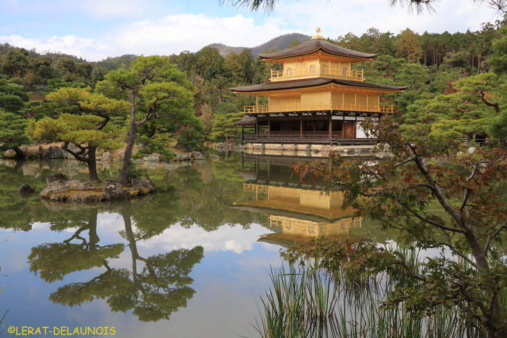 Conférences Japon, aventures Sakura pays gais chats