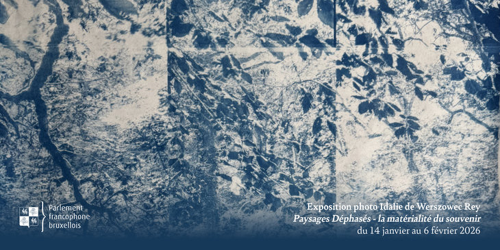 Expositions Expo photo  Paysages déphasés, matérialité souvenir 
