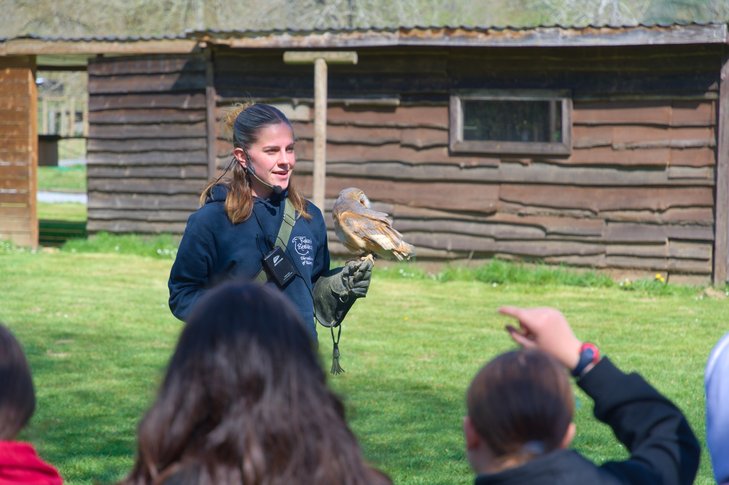 Loisirs Spectacles fauconnerie - domaine Palogne