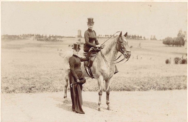 Expositions L histoire fascinante cheval .