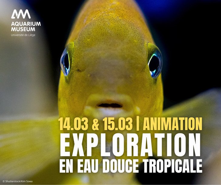 Loisirs Exploration eau douce tropicale - Animation