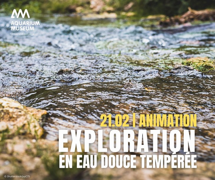Loisirs Exploration eau douce tempérée - Animation