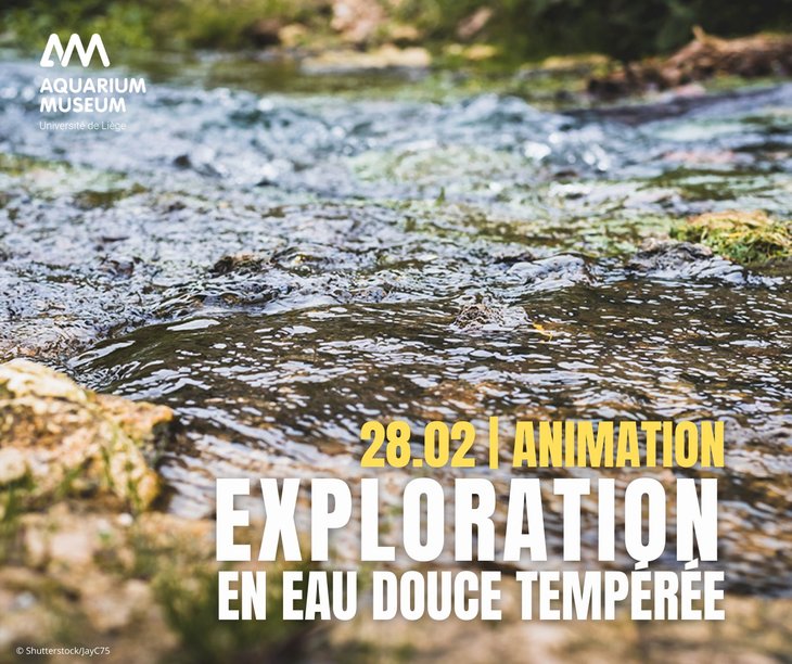 Loisirs Exploration eau douce tempérée - Animation