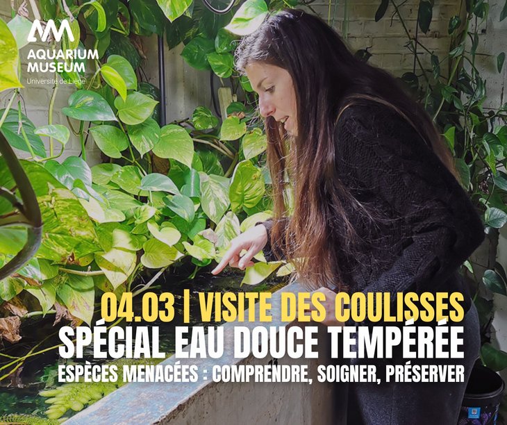Loisirs Visite coulisses Spécial douce tropicale & tempérée