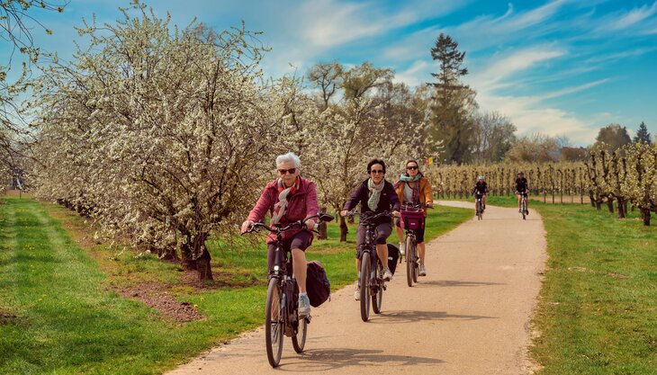 Conférences Mardi curieux: Saint-Trond… vélo