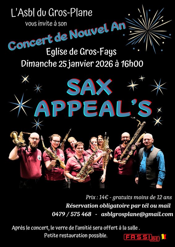 Concerts Concert Nouvel An