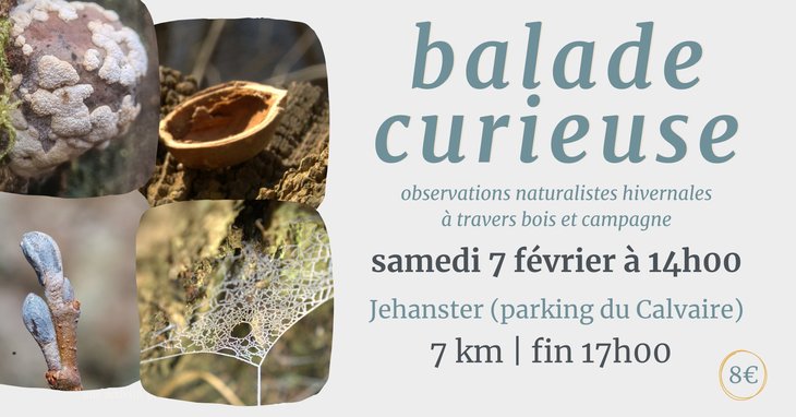 Loisirs Balade curieuse