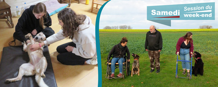 Stages,cours Formation condensée médiation animale, session samedis en