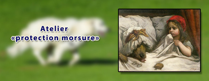 Conférences Prévention morsure: Protéger vous, votre enfant, chien d’une agression canine