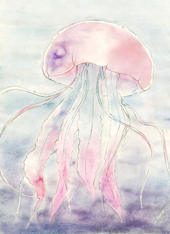 Expositions Fête ateliers Cch