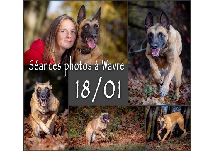 Loisirs Séances photos pour chiens leurs humains)