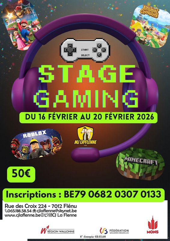 Stages,cours Stage Gaming