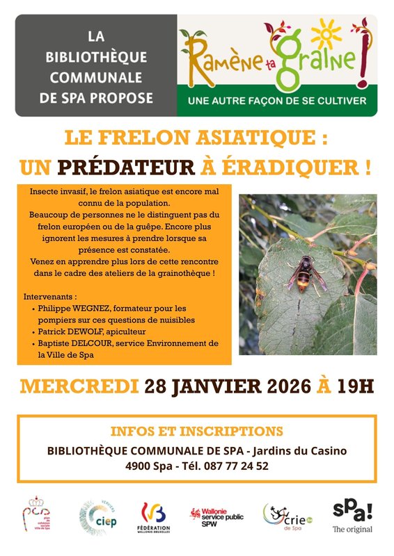 Conférences Atelier Grainothèque : frelon asiatique