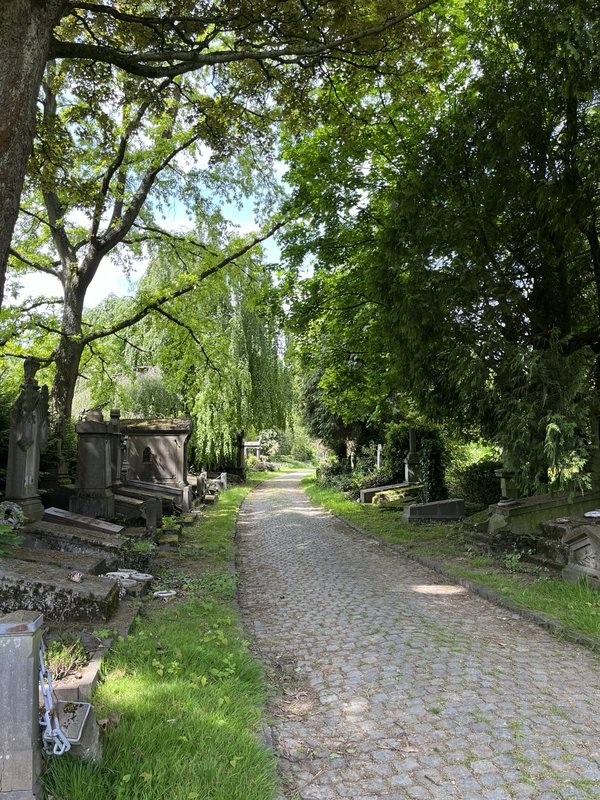 Loisirs Randonnée Brusseleir Evere vert contre tout