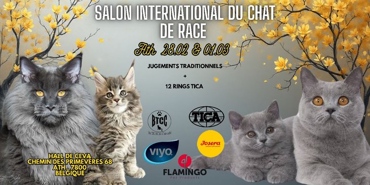 Loisirs Salon International Chat - Ath