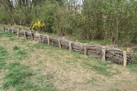 Stages,cours Réalisation d’une haie sèche