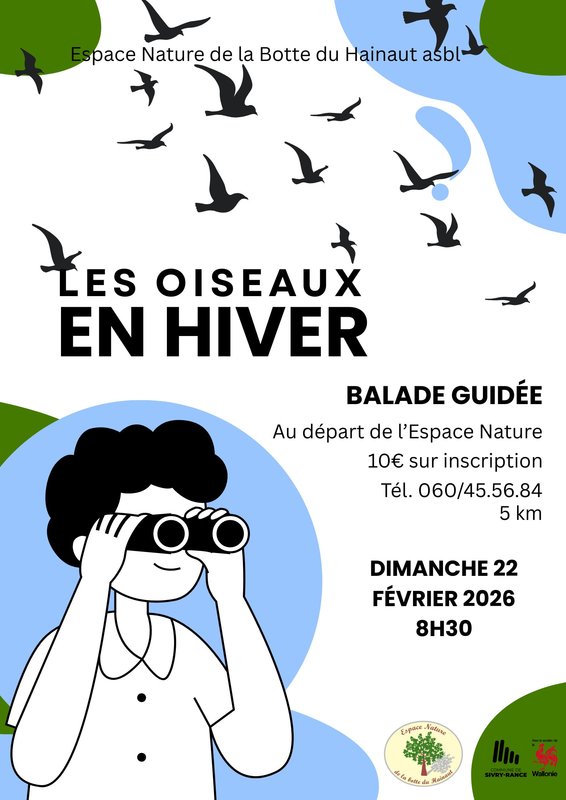 Loisirs Les oiseaux hiver
