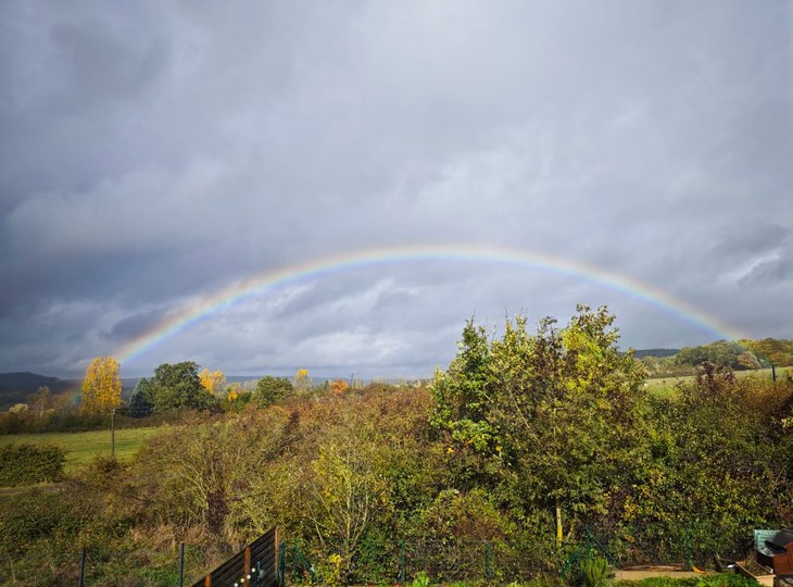 Stages,cours Conscience Méditation