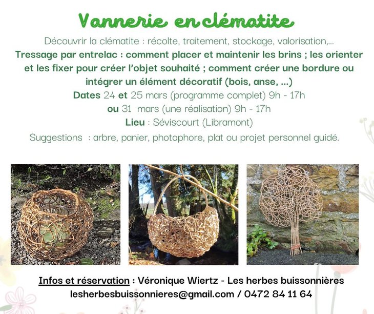 Stages,cours Vannerie clématite 2 jours