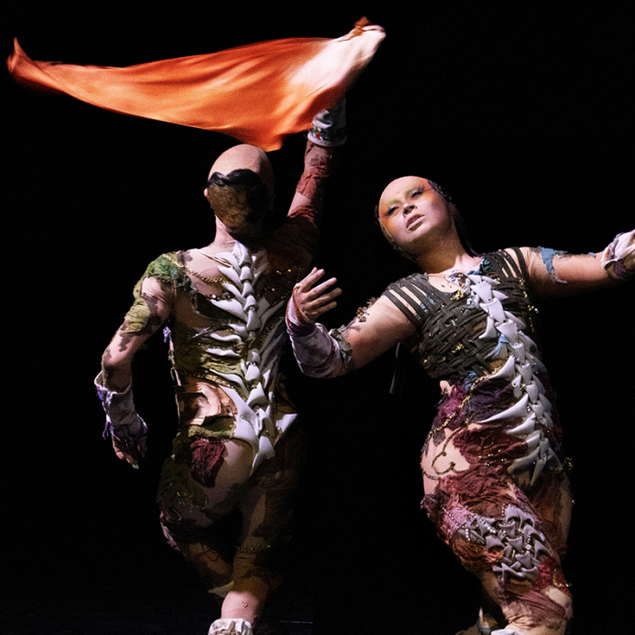 Spectacles Último Helecho