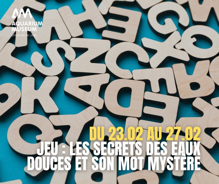 Loisirs Jeu : Secrets Eaux Douces son mystère