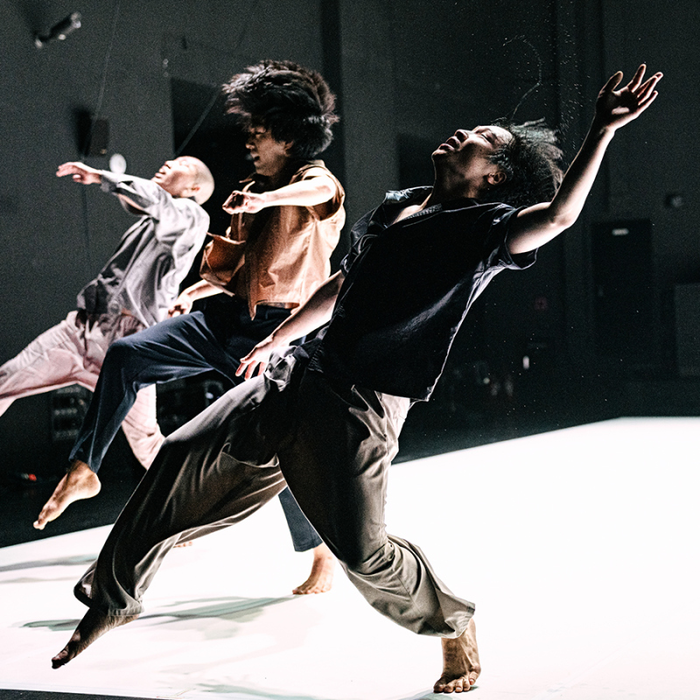 Spectacles Jungle + Everything Falls Dramatic