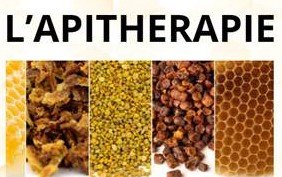 Conférences L apithérapie