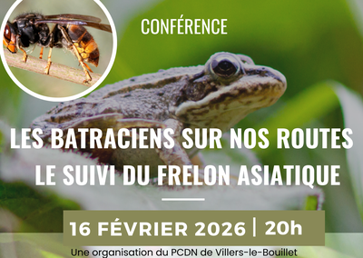 Conférences Conférence Pcdn - frelon asiatique, nouvelle menace pour biodiversité ?