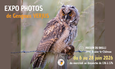 Expositions Expo Photos Gengoux Verjus