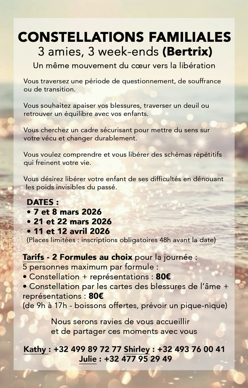 Stages,cours Journée constellations familiales