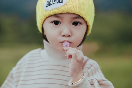 Spectacles Les racontées musicales