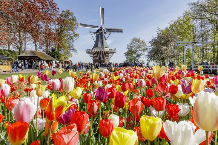 Excursions, séjours Une journée Keukenhof