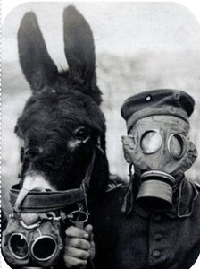 Expositions LES ANIMAUX LA GUERRE