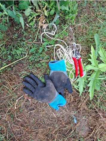 Stages,cours Cycle : Initiation jardinage biologique