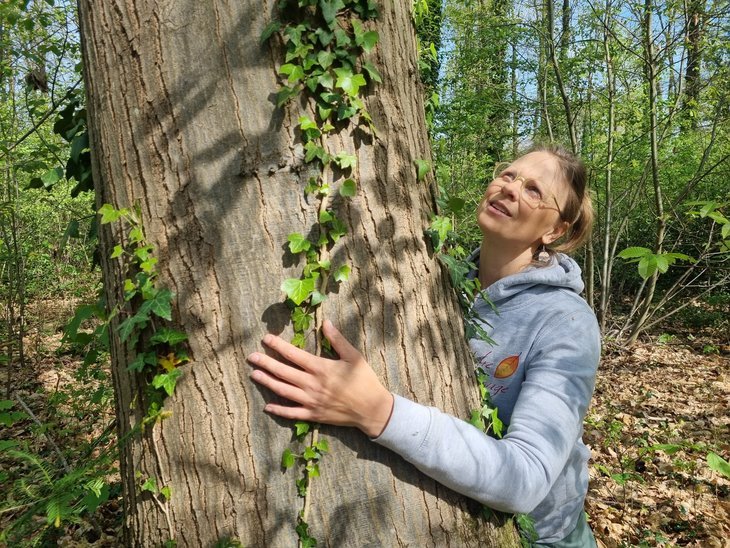 Stages,cours Bain Forêt (sylvothérapie)